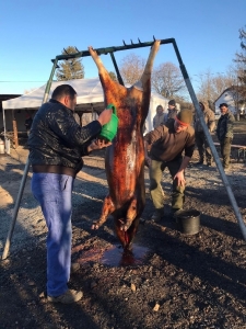 Csoportmunkában történő együttműködés fejlesztés csapatépítő tréning keretében - Zomba - 2022.02.12 #1