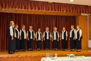 Helyi nemzeti etnikai és kisebbségi kultúrát bemutató program - Zomba -2021.09.10 #2