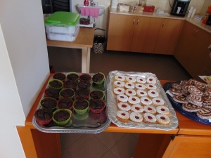 Sportágválasztó közösségi esemény - Zomba - 2019. 01. 27. #2